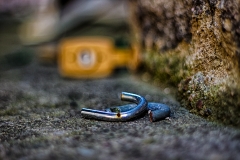 _MG_1304_HDR