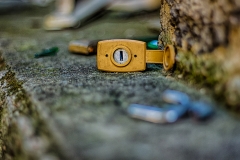 _MG_1310_HDR